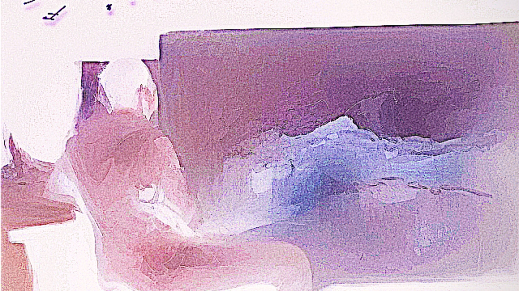 FLORIDA WEATHER NEW COVER